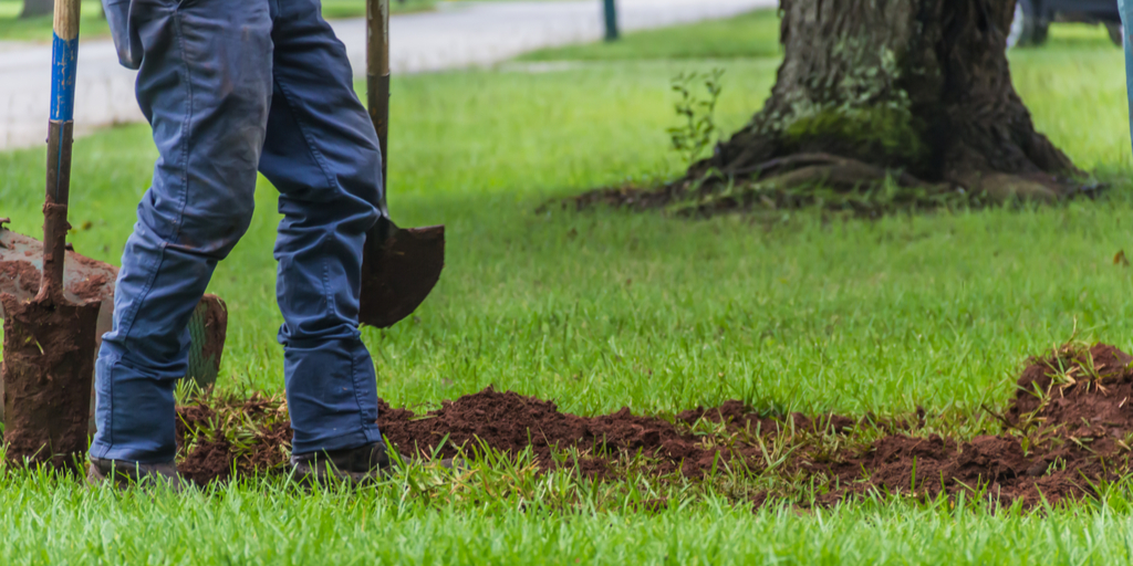Digging Into Spring Yard Projects? Remember To Call 8-1-1