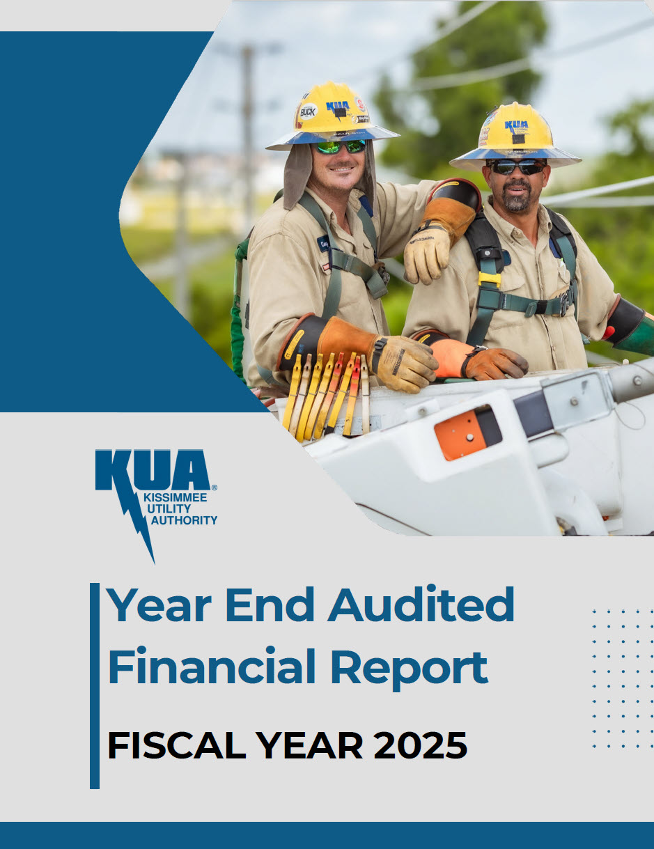 Financial Report 2025