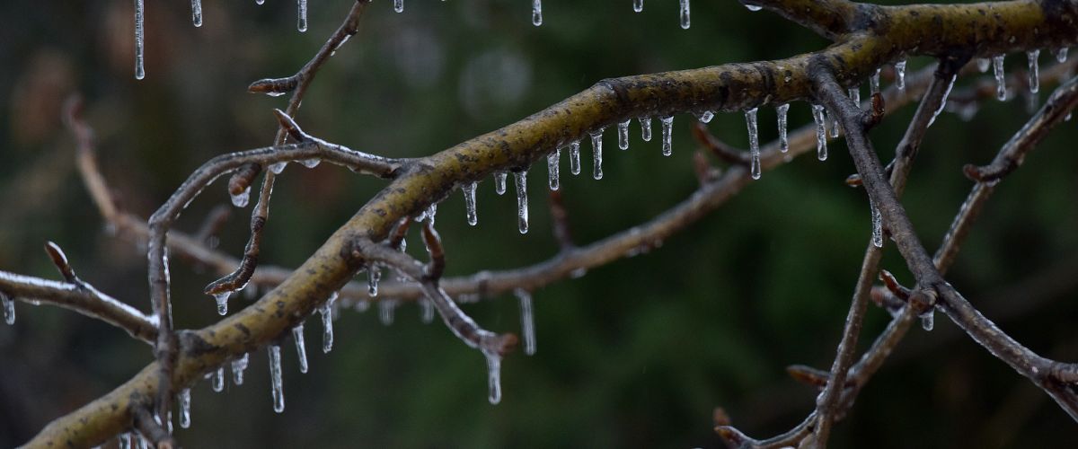 KUA Shares Cold Weather Safety Tips and Reliability Information