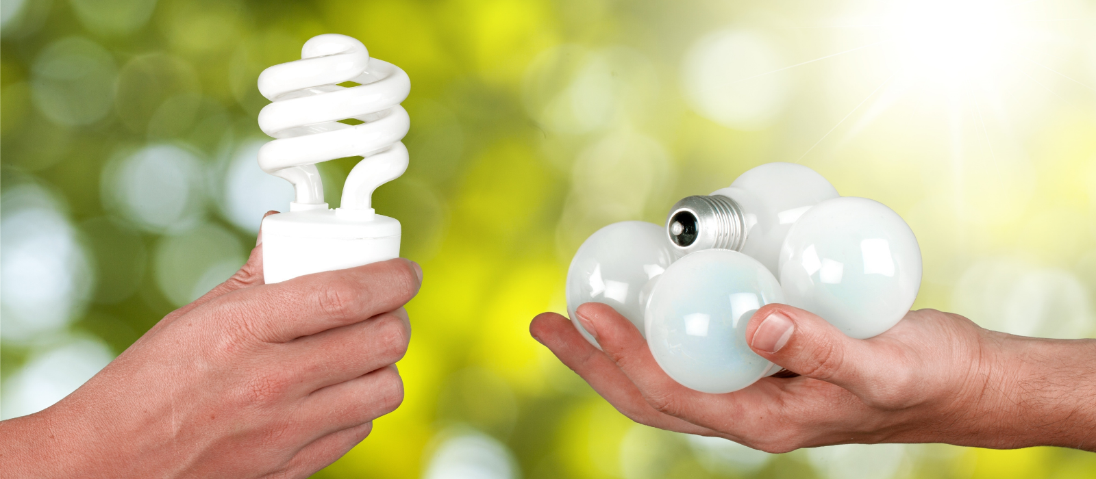 One hand on the left is holding one energy efficient lightbulb and the other hand on the right is holding multiple